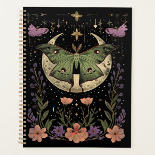 Illustration gothique du ciel nocturne