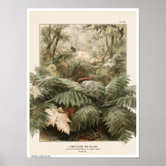 ILLUSTRATION IM VINTAGE-STIL EINES NEUSEELÄNDISCHE POSTER