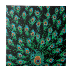 Illustration mit Pfau-Federn auf Schwarzem Fliese