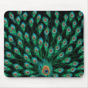 Illustration mit Pfau-Federn auf Schwarzem Mousepad
