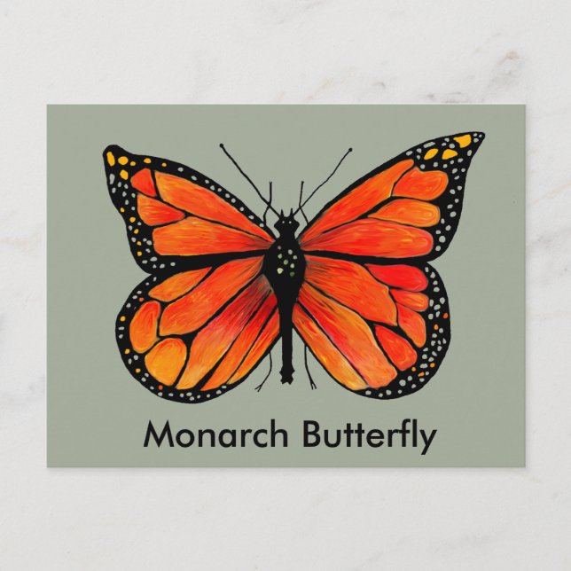 Illustration Monarch Butterfly sur carte postale (Devant)
