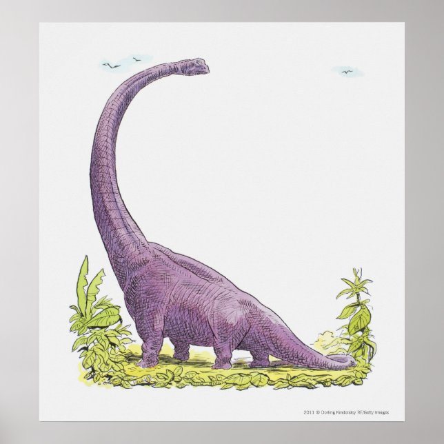 Illustration of Giraffatitan dinosaur Poster (Vorne)