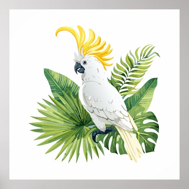 Illustration of parrot cockatoo poster (Vorne)