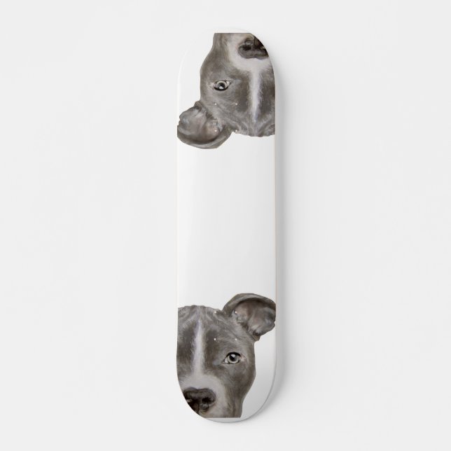 Illustration Pitbull Skateboard par miart (Devant)