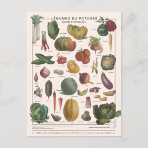 Illustration Postkarte