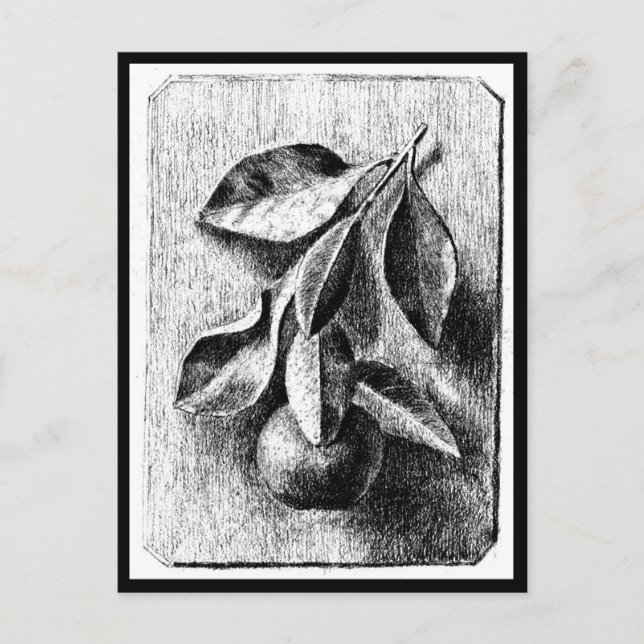 Illustration Vintage Carte Postale-Beatrix Potter  (Devant)