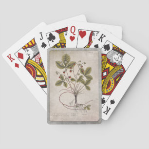 Illustration vintage Cartes de Jeu - Fraise