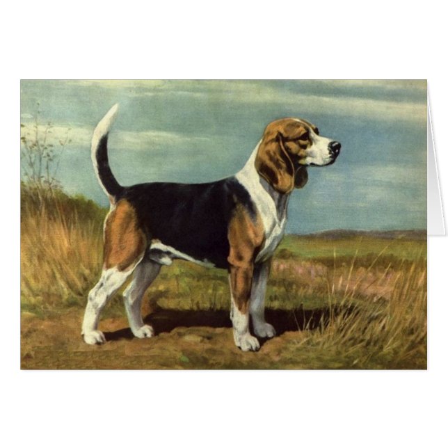 Illustration vintage - chien de beagle, (Devant horizontal)