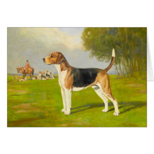 Illustration vintage - chien de harrier,