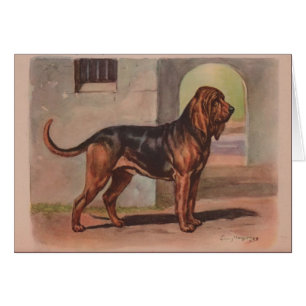 Illustration vintage - chien de limier,