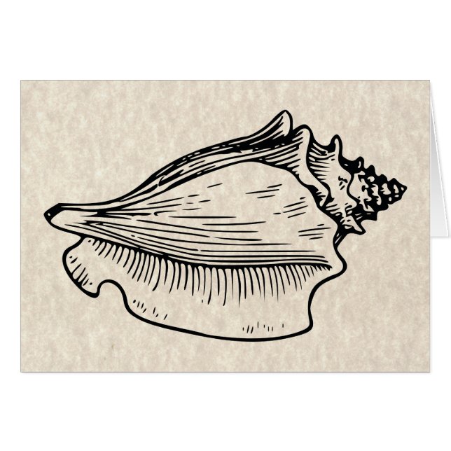 Illustration Vintage Conch Shell (Devant horizontal)