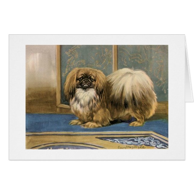 Illustration vintage de chien de Pekingese, (Devant horizontal)