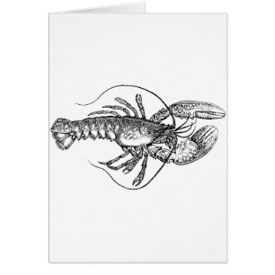 Illustration vintage de homard