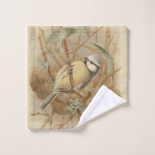 Illustration vintage de mésange bleue