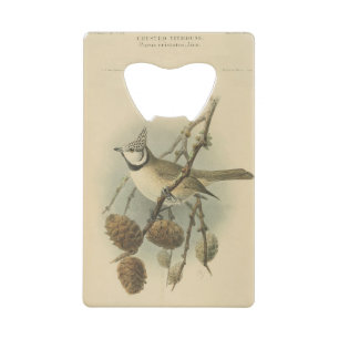 Illustration vintage de mésange huppée européenne