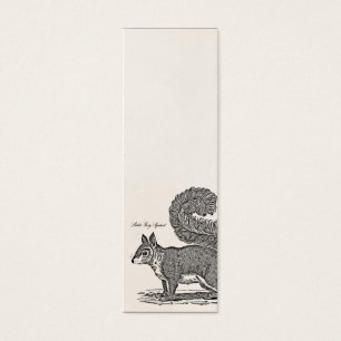 Illustration vintage d'écureuil - écureuils 1800