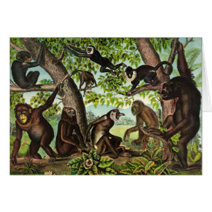 Illustration vintage - jungle de singe,