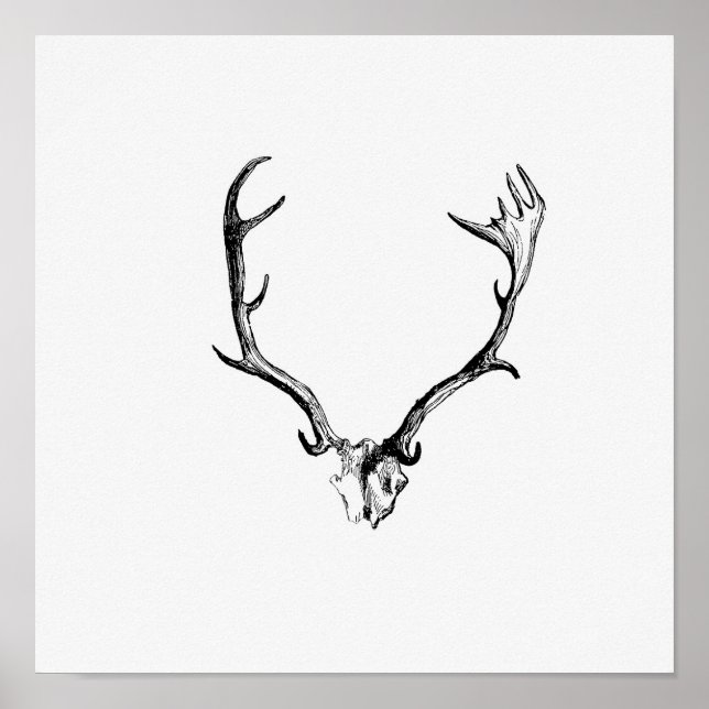 Illustration Vintager Antler Poster (Vorne)