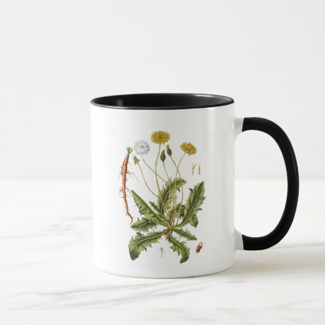 Illustration Vintager Löwenzahn Tasse (Rechts)