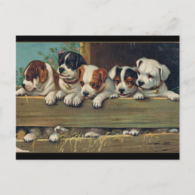 Illustration Vintager Welpen, Hunde-Welpen Postkarte (Vorderseite)