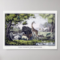 Illustration Vintager wild lebender Tiere