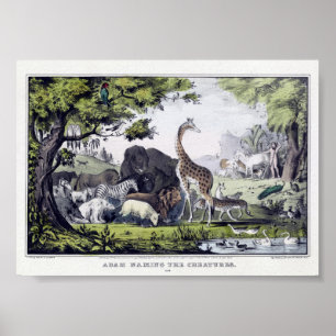 Illustration Vintager Wildtiere Poster