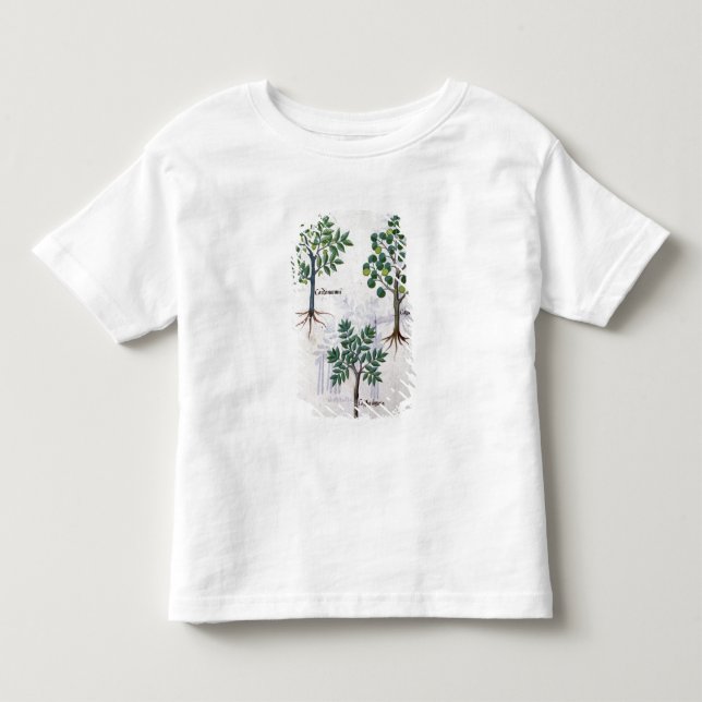 Illustration vom 'Buch der einfachen Medizin Kleinkind T-shirt (Vorderseite)