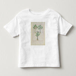 Illustration vom "Buch einfacher Medizin" 2 Kleinkind T-shirt
