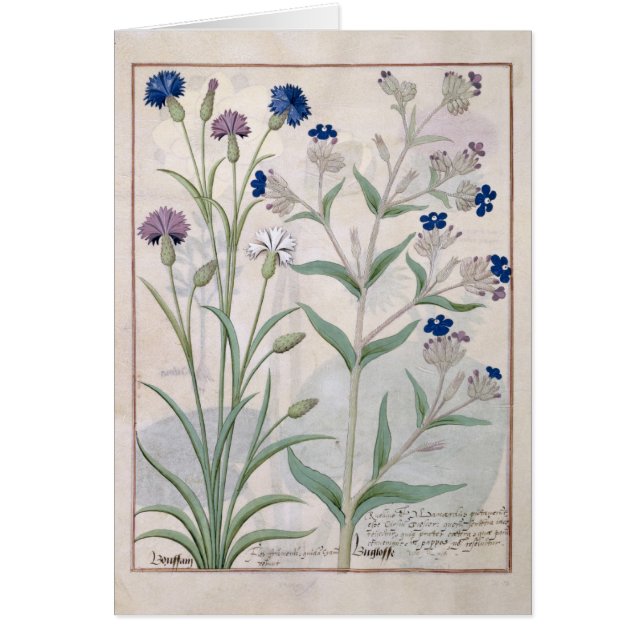 Illustration vom "Buch einfacher Medizin" 3 (Vorne)