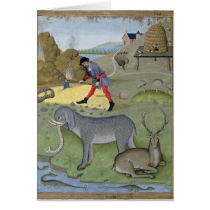 Illustration vom 'Buch von einfachem