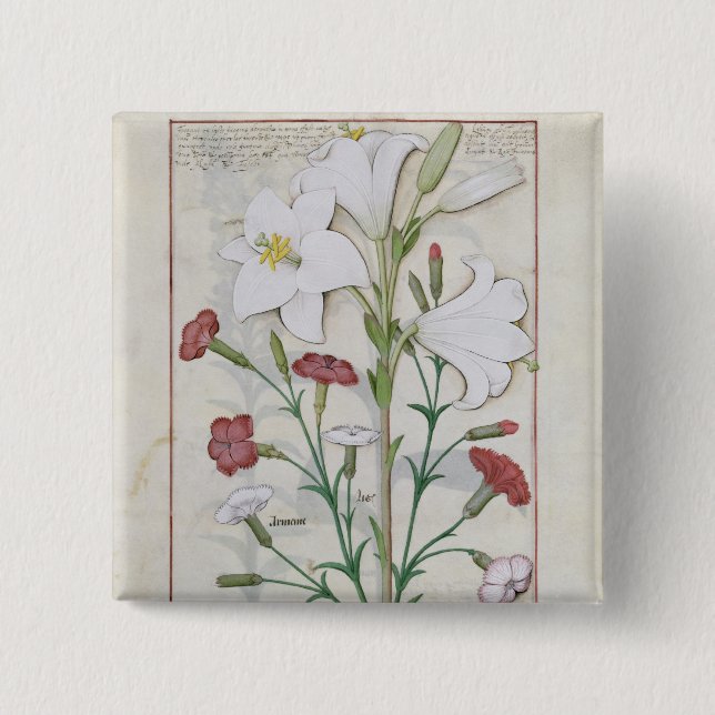 Illustration vom 'Buch von einfachem Button (Vorderseite)