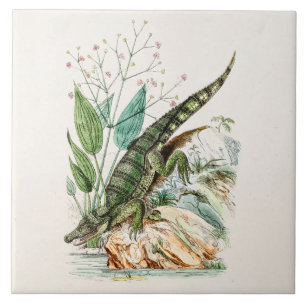 Illustration von Alligator Krokodil aus dem 19. Ja Fliese