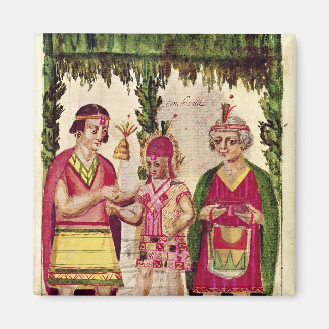 Illustration von Cincheroca Magnet (Vorne)