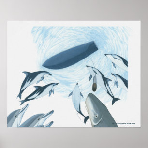 Illustration von Delphinen, die auf ein Boot schau Poster