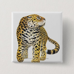 Illustration von Jaguar mit Kopf im Profil Button