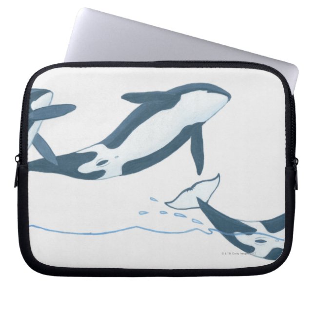 Illustration von Killerwalen (Orcinus orca) Laptopschutzhülle (Vorderseite)