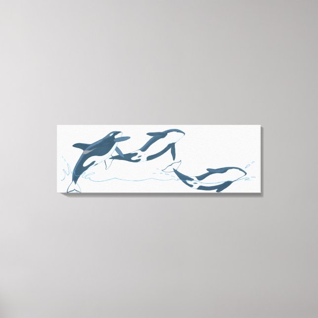 Illustration von Killerwalen (Orcinus orca) Leinwanddruck (Vorderseite)
