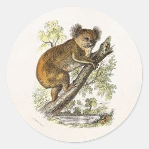 Illustration von Koala-Bären aus der viktorianisch Runder Aufkleber