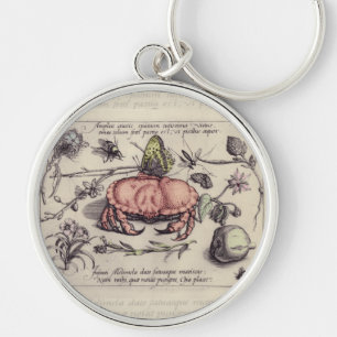 Illustration von Krebs, botanischen Motiven, Insek Schlüsselanhänger