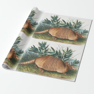 Illustration von neunbanded Armadillo (Dasypus Peb Geschenkpapier
