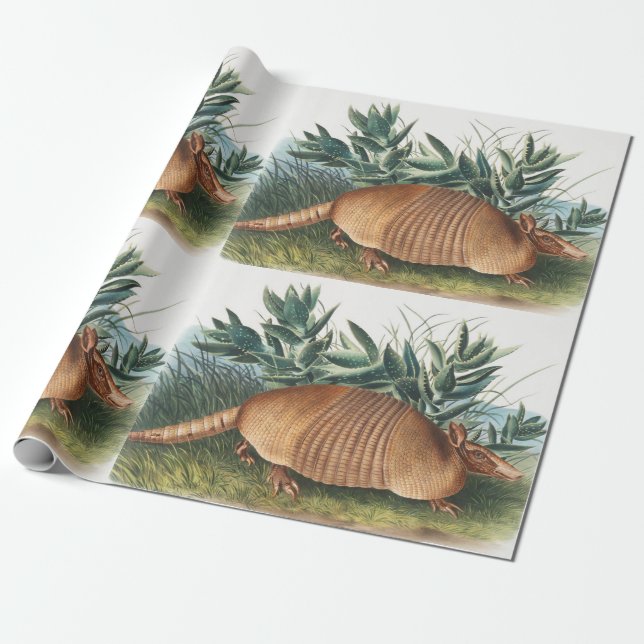 Illustration von neunbanded Armadillo (Dasypus Peb Geschenkpapier (Ungerollt)