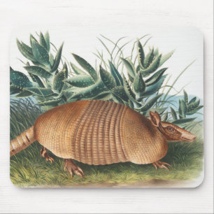 Illustration von neunbanded Armadillo (Dasypus Peb Mousepad