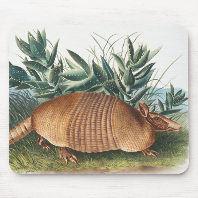 Illustration von neunbanded Armadillo (Dasypus Peb Mousepad (Vorne)