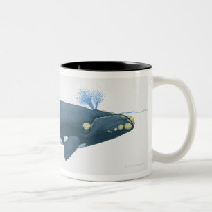 Illustration von North- PacificGlattwal Zweifarbige Tasse