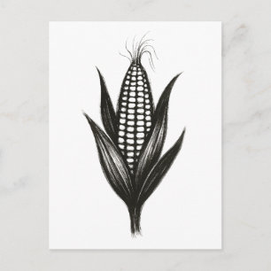 Illustration von Schwarzwinkern - Erntedesign auf Postkarte