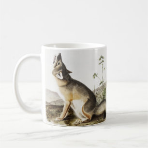 Illustration von Swift Fox (Vulpes velox) Kaffeetasse