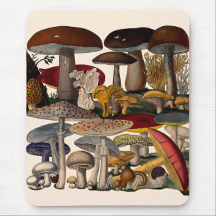 Illustration von Vintage-Pilzen Mousepad