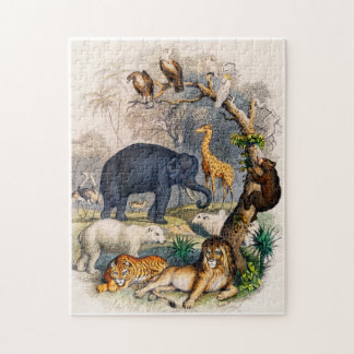 Illustration von Wildtieren