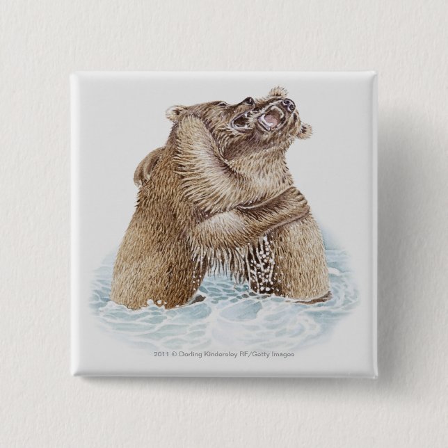 Illustration von zwei Braunbären, die im Wasser Button (Vorderseite)