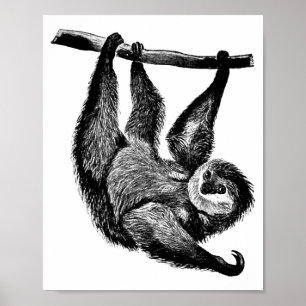 Illustration zum Sloth Dschungel-Safari Poster